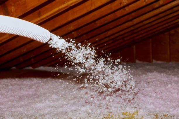 Best Local Insulation Services  in Wells, MN