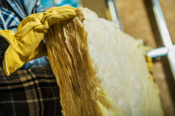 Insulation for Commercial Buildings in Wells, MN