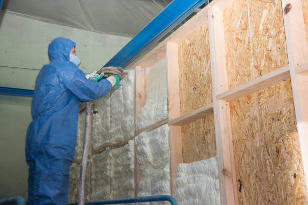Best Home Insulation Services  in Wells, MN